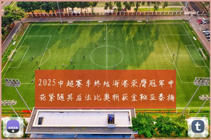 2025中超赛季终结海港荣膺冠军申花紧随其后法比奥斩获金靴亚泰梅州遗憾降级