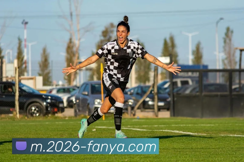 泛亚电竞平台生态图